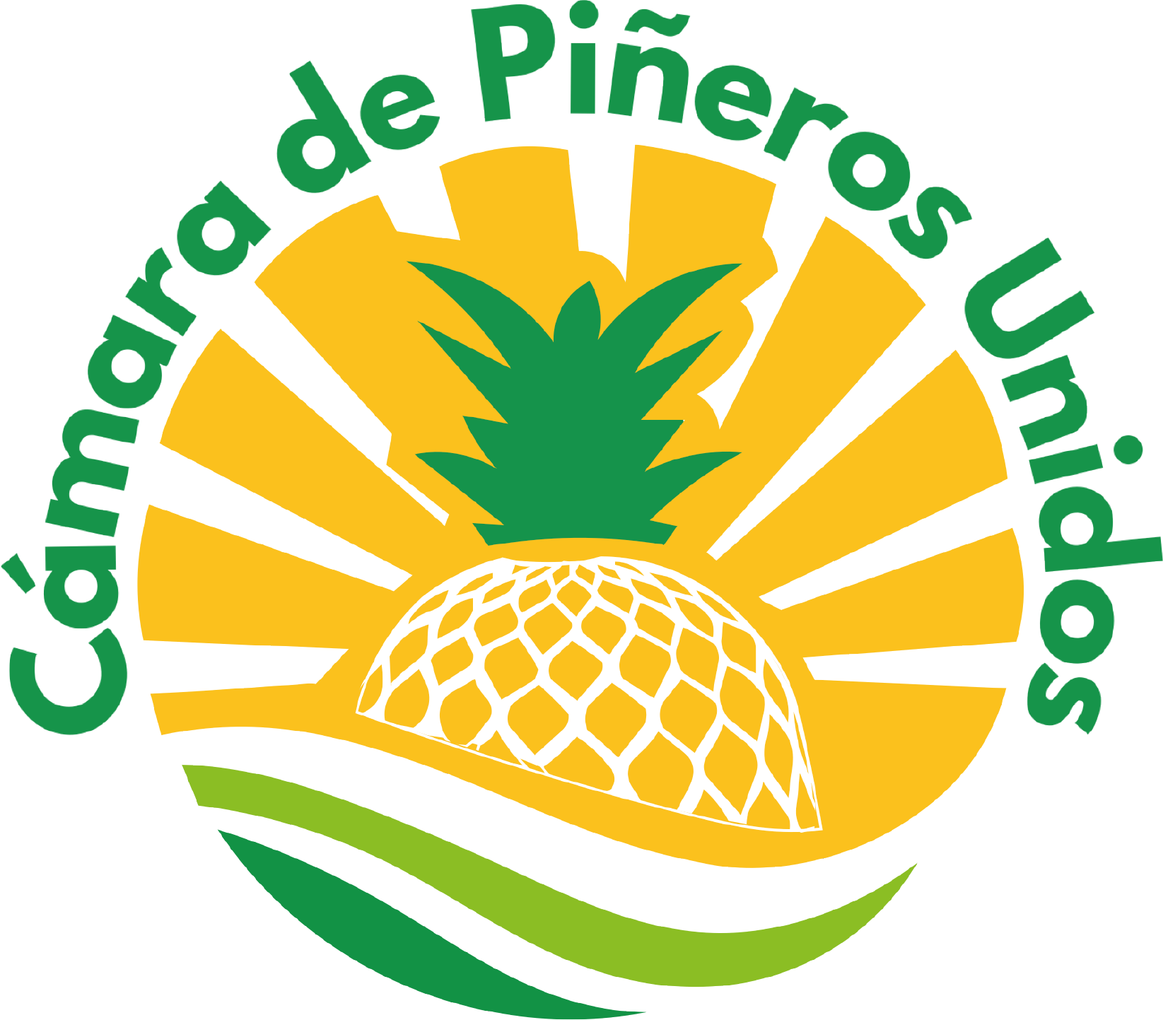 LOGO CAMARA